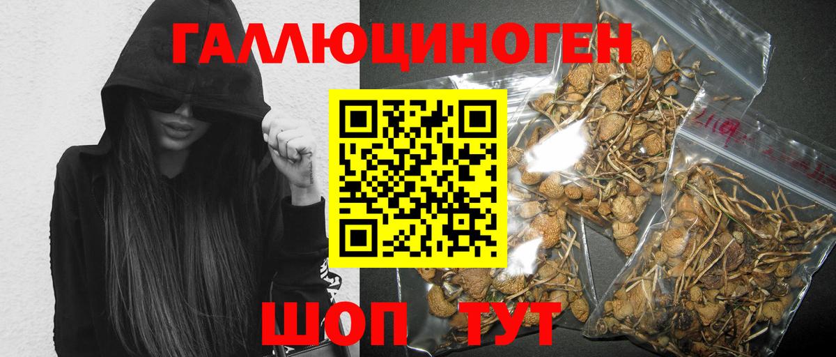 Псилоцибиновые грибы прущие грибы Чистополь